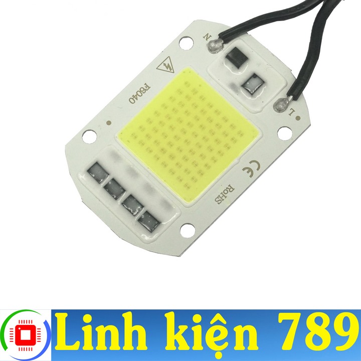 Led cob deals 220v 50w